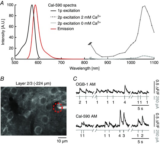 Figure 2