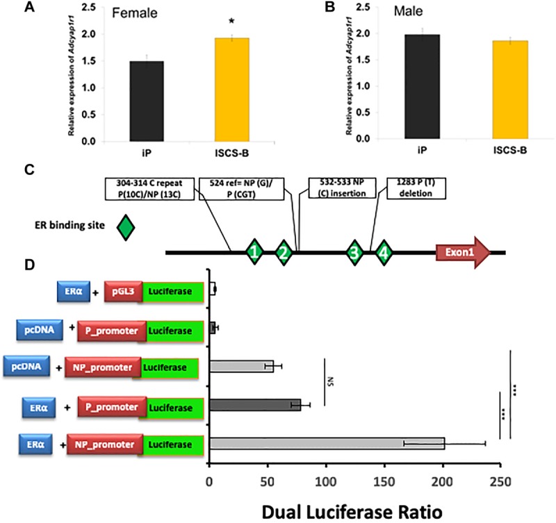 FIGURE 6