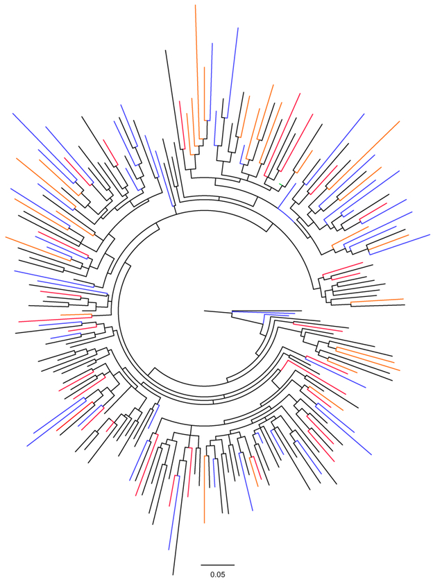 Figure 4: