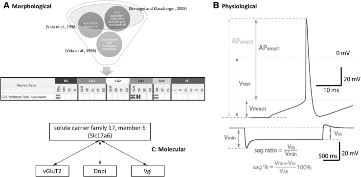 Fig. 2