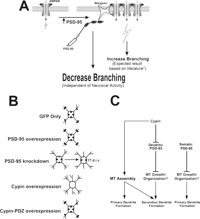 Figure 9.