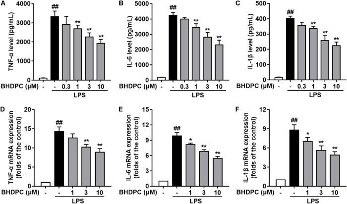 FIGURE 3