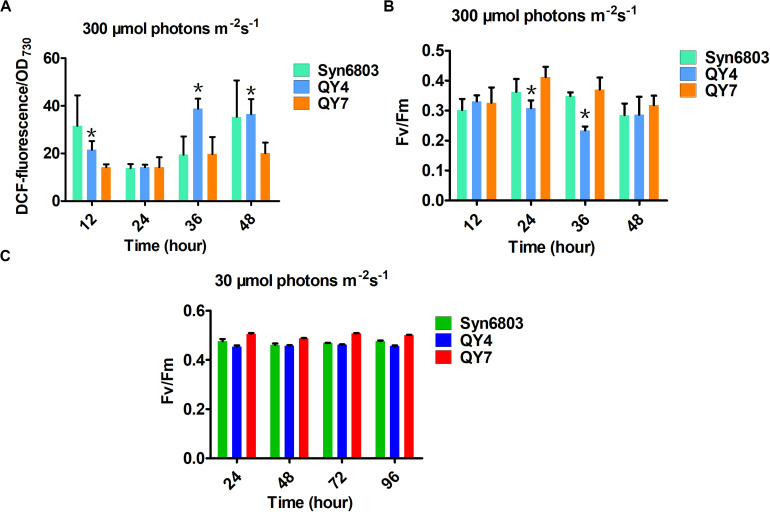 FIGURE 4