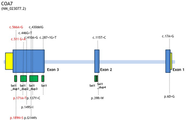 FIGURE 3