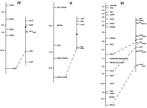 FIG. 1.