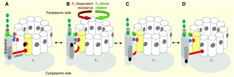 Figure 11