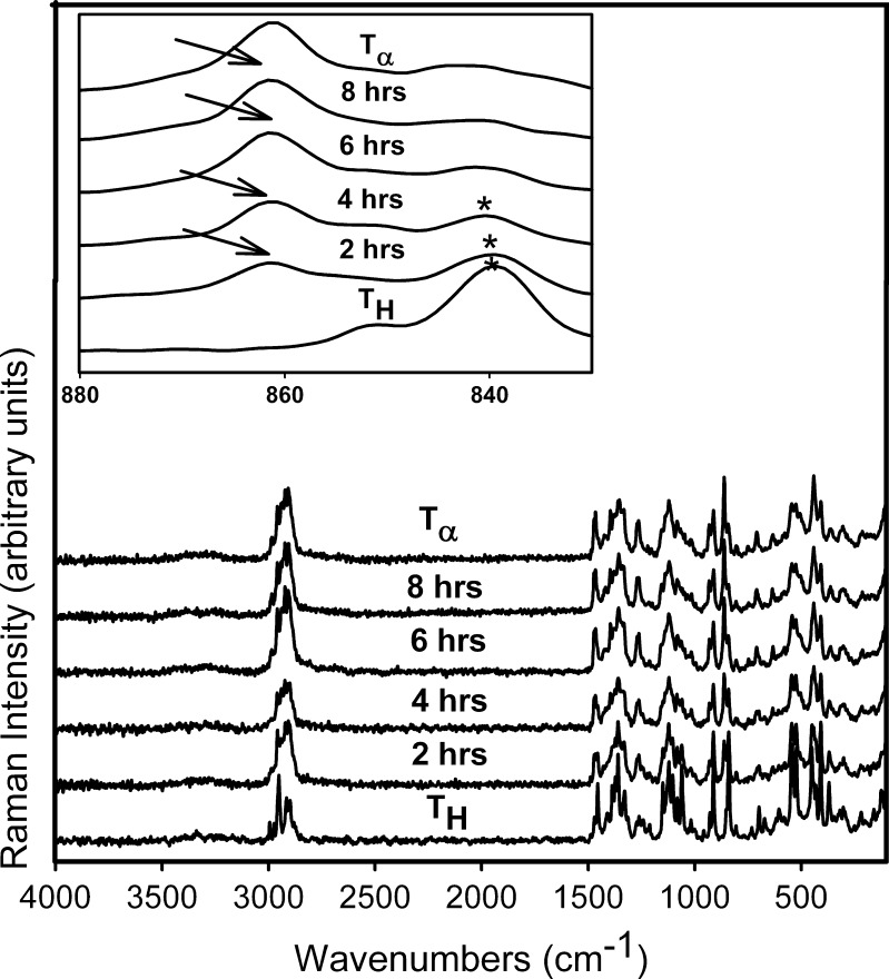 Fig. 9