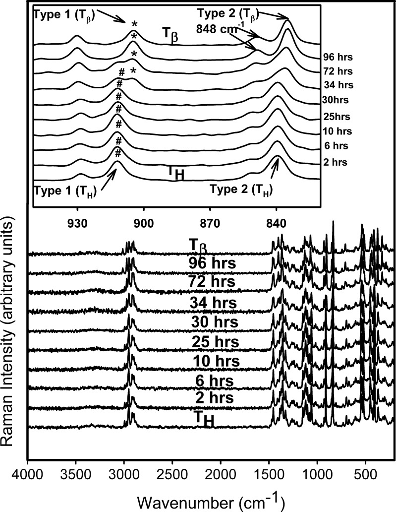 Fig. 8