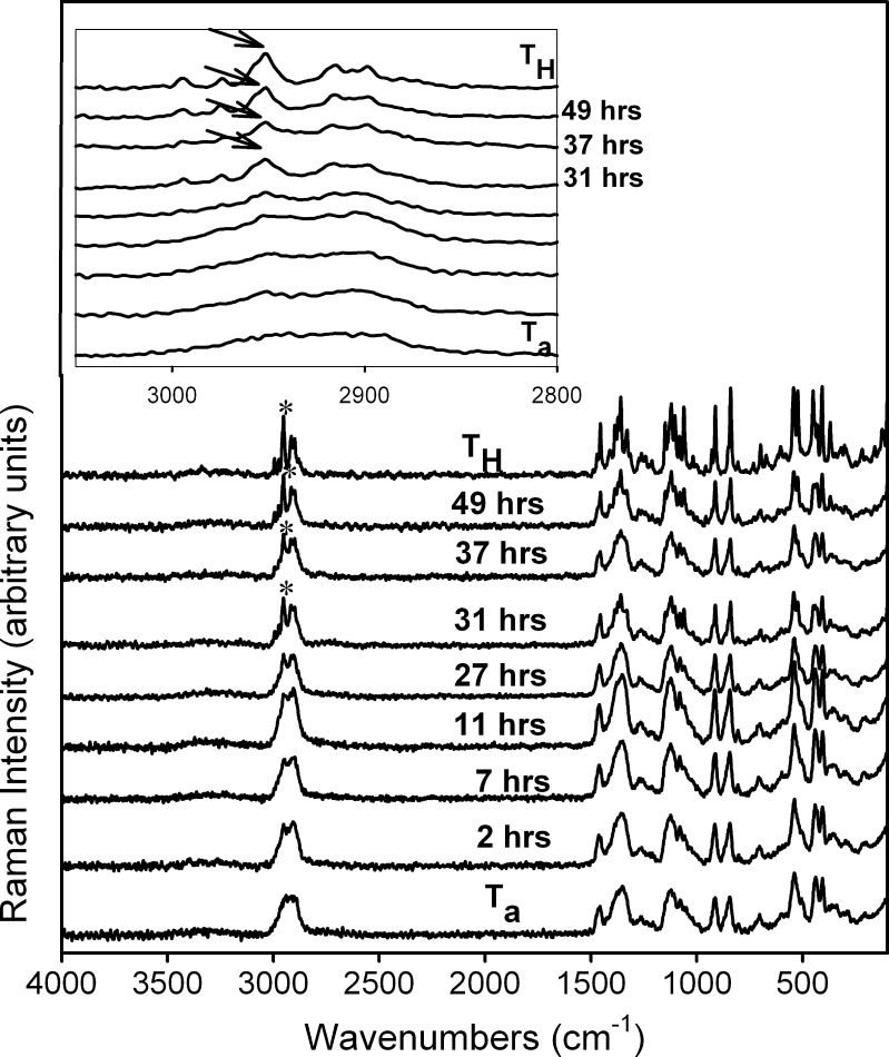 Fig. 7