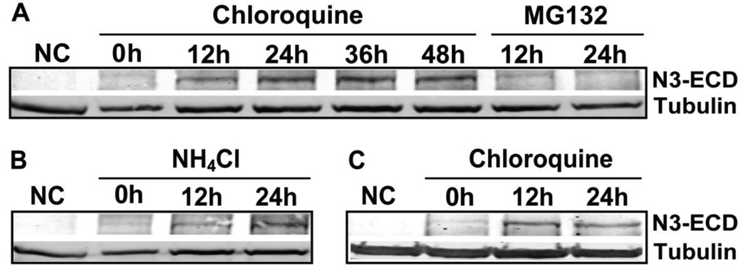 Fig 5