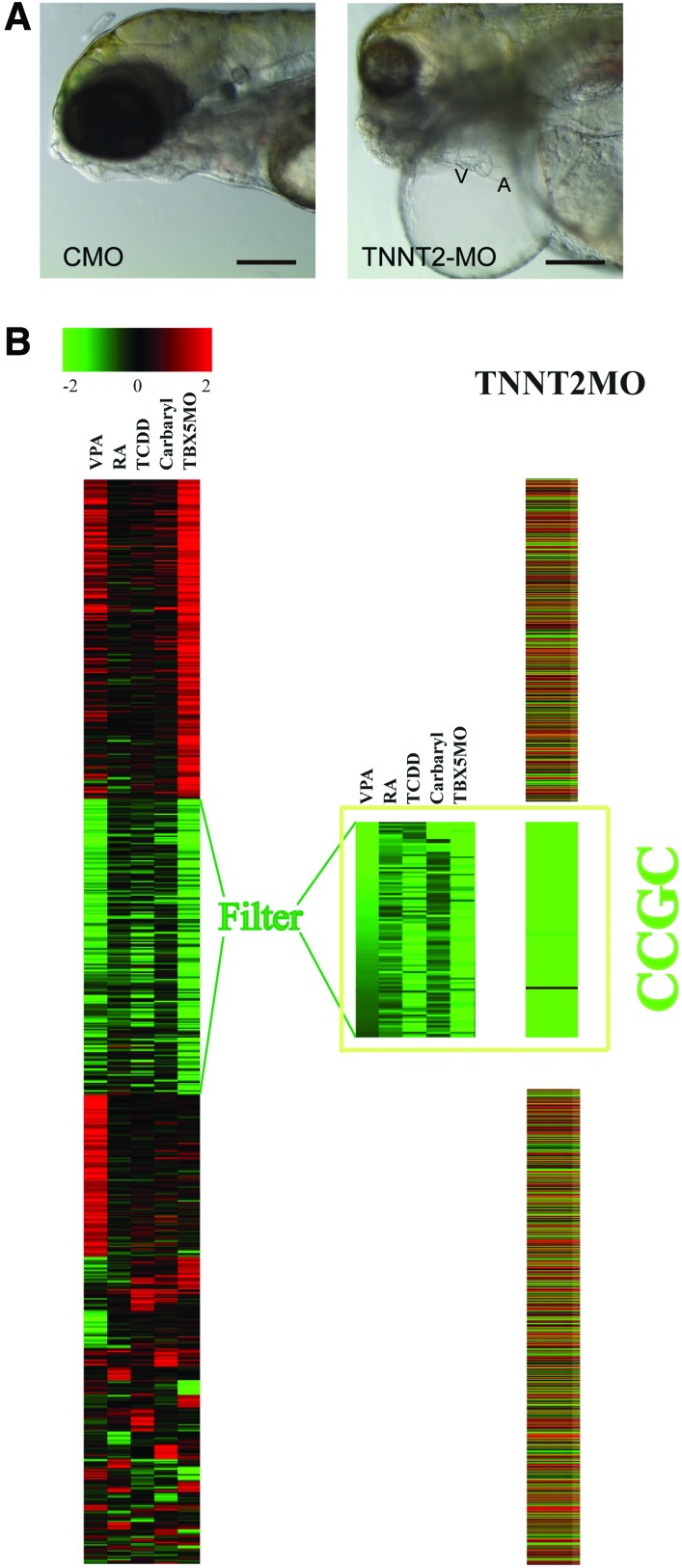 FIG. 4.