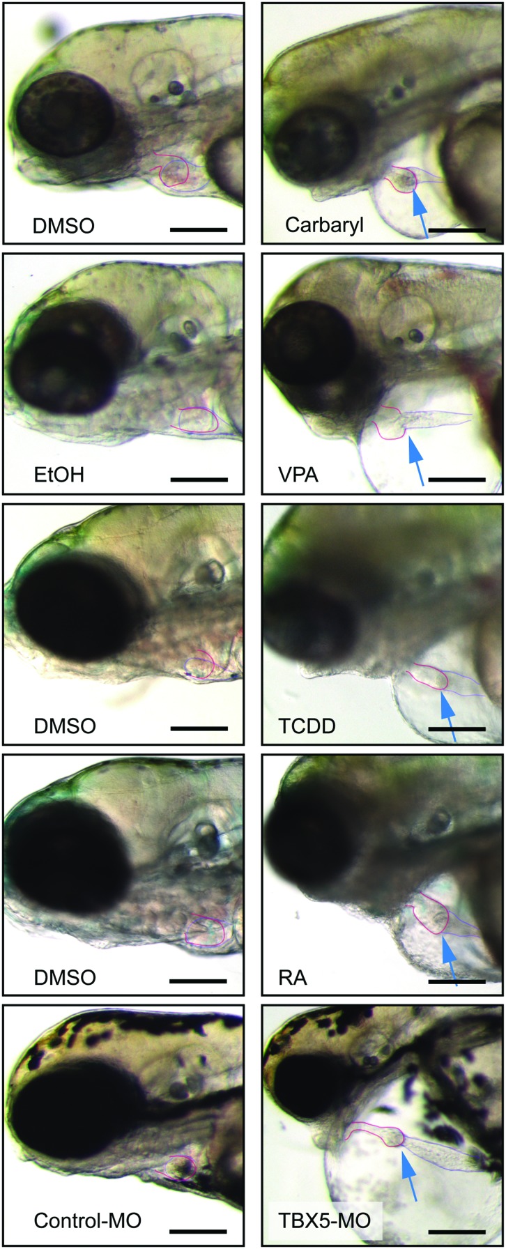 FIG. 1.