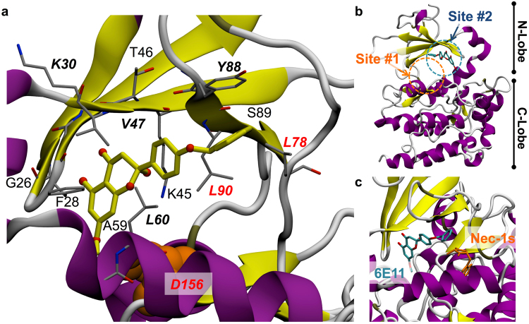 Figure 7