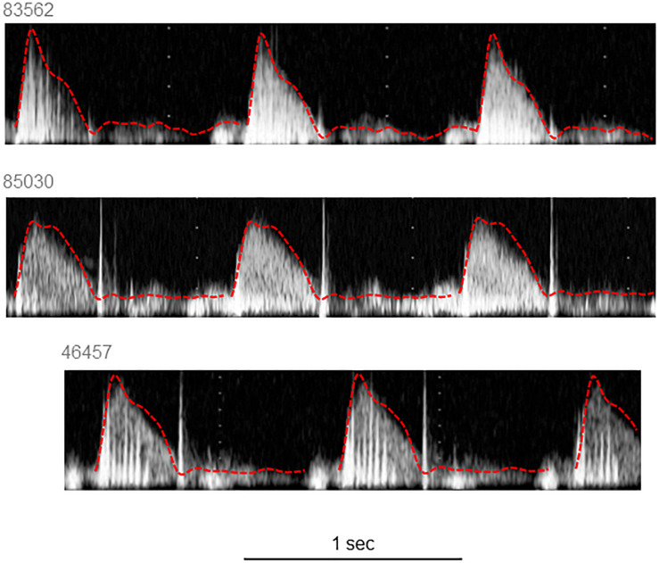 FIGURE 2