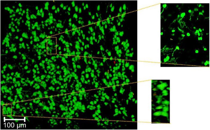 Figure 3.