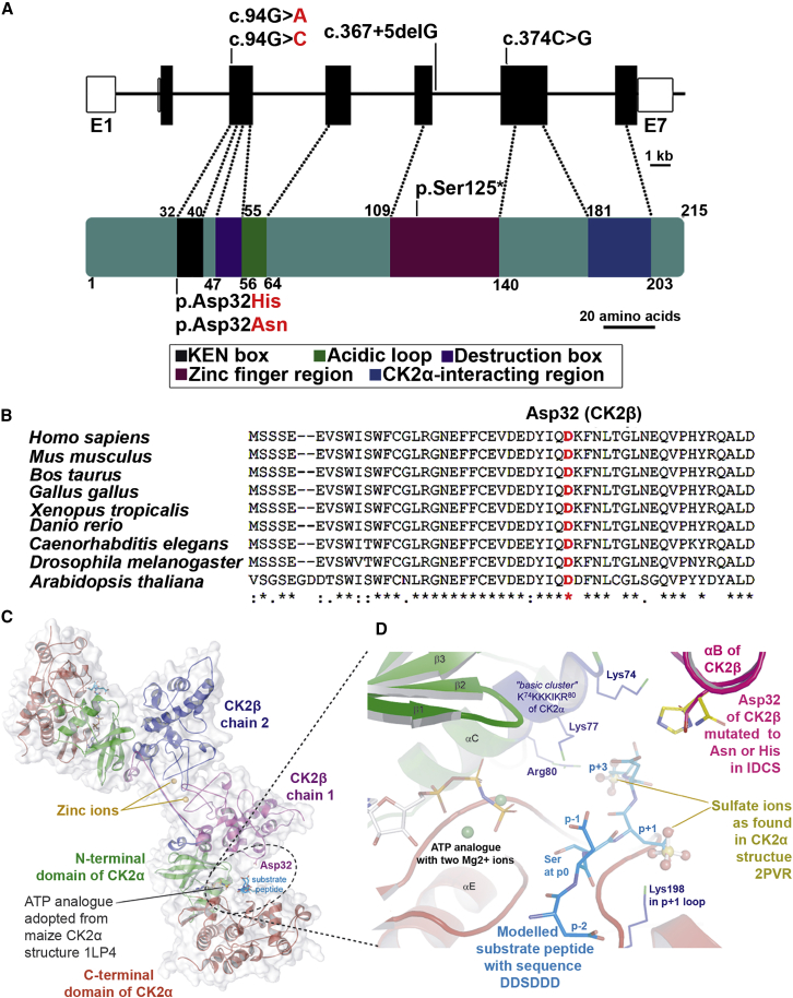 Figure 2