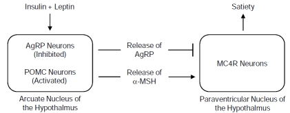 Fig. (2)