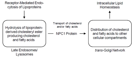 Fig. (3)