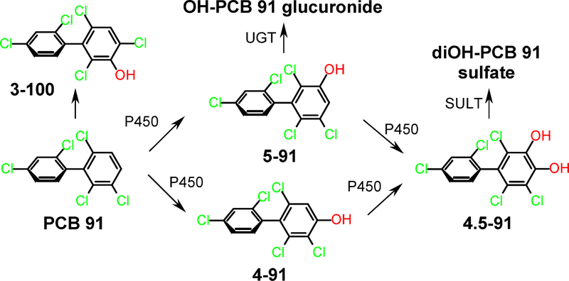 Figure 1: