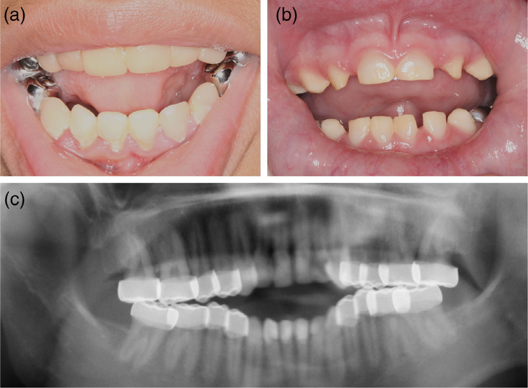 FIGURE 2