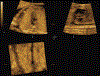 Figure 6: