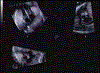 Figure 5: