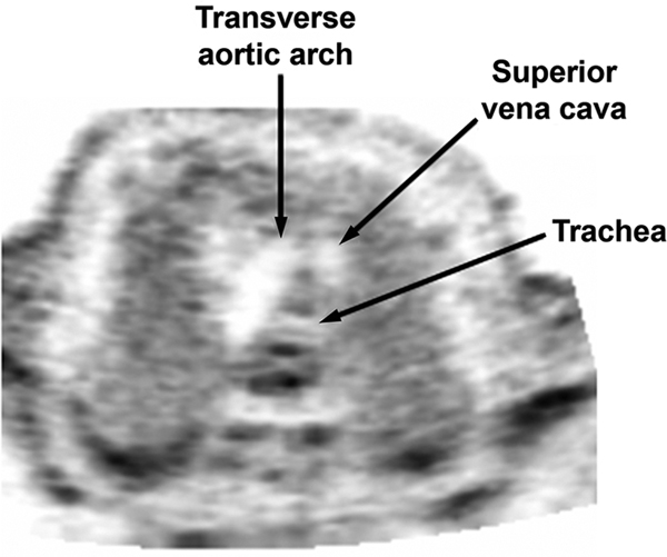 Figure 7: