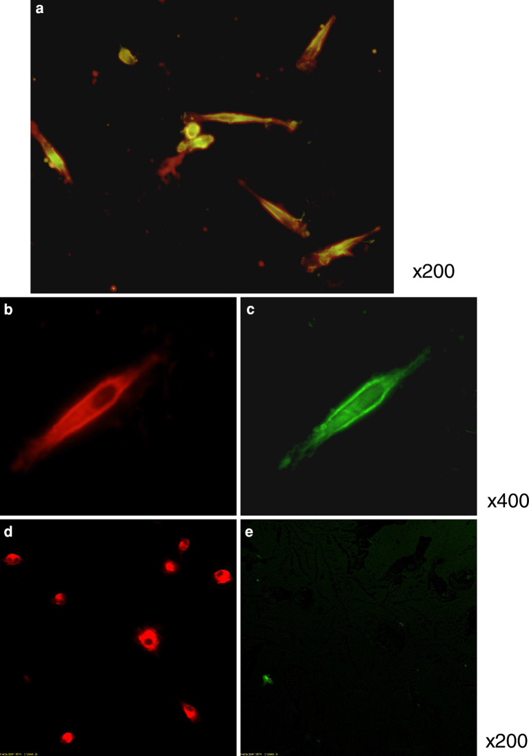 Fig. 2