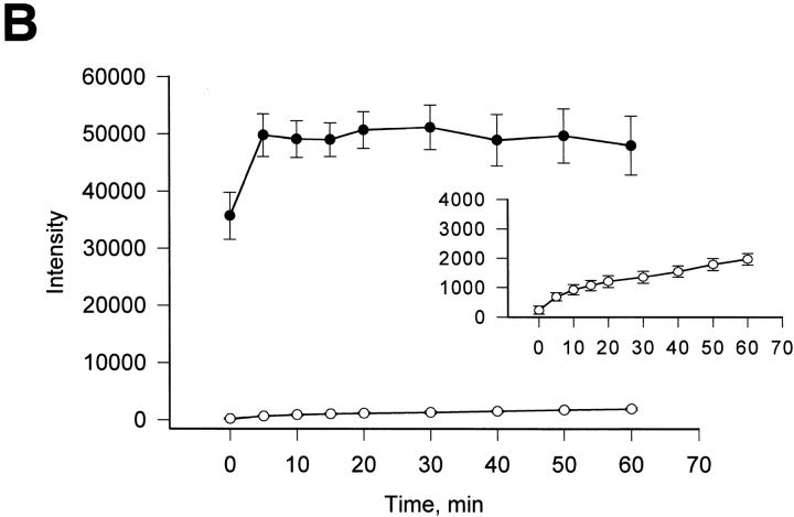 Figure 10. 