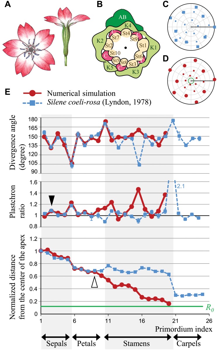 Fig 4