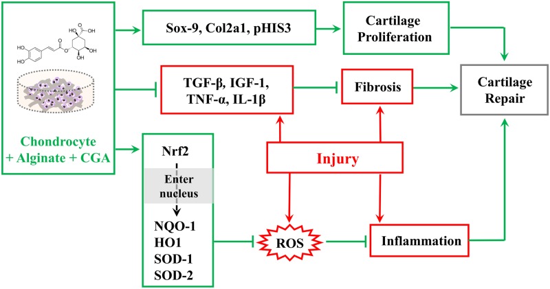 Fig 7