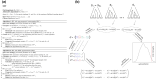 <sc>Fig.</sc> 3.