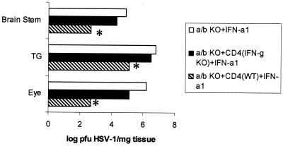 FIG. 9.