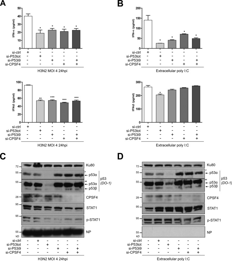 FIG 6