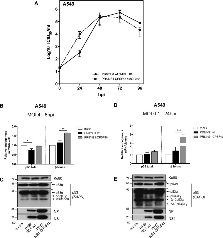 FIG 2