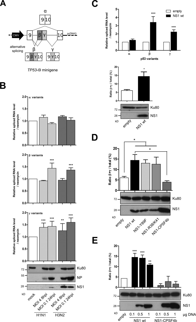 FIG 1