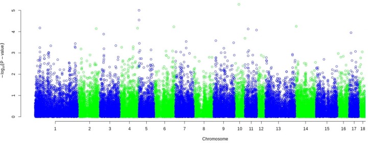 Fig 6