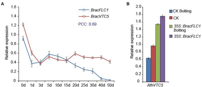 FIGURE 3