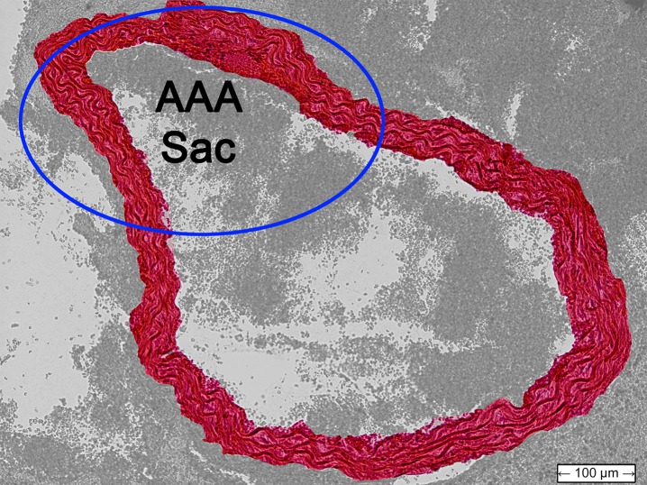 Figure 4b: