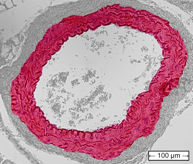 Figure 4a: