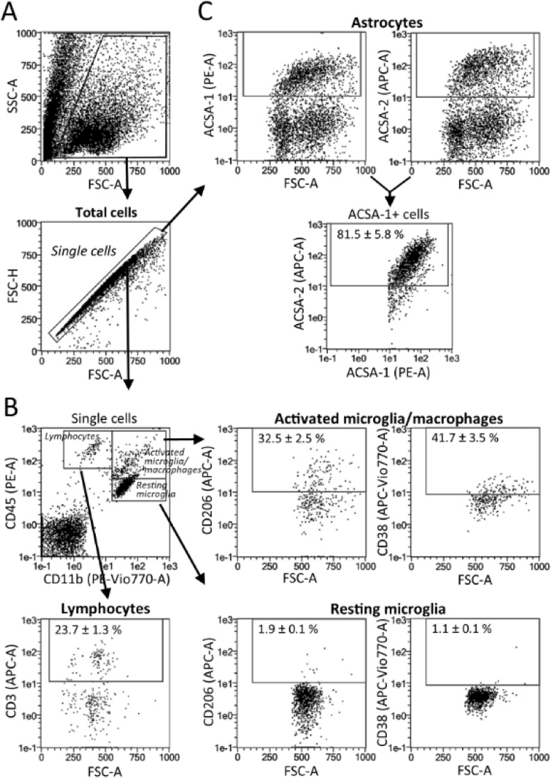 Fig. 2