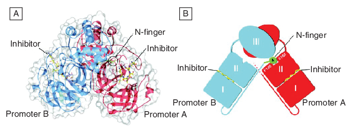 Figure 12.