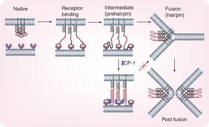 Figure 11.