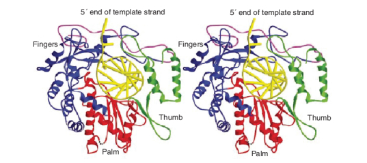 Figure 13.