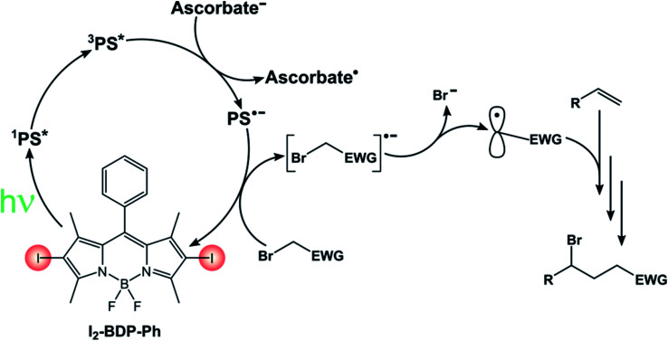 Scheme 16