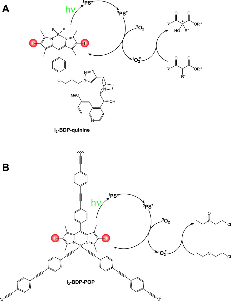 Scheme 14