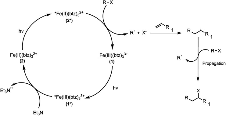 Scheme 3