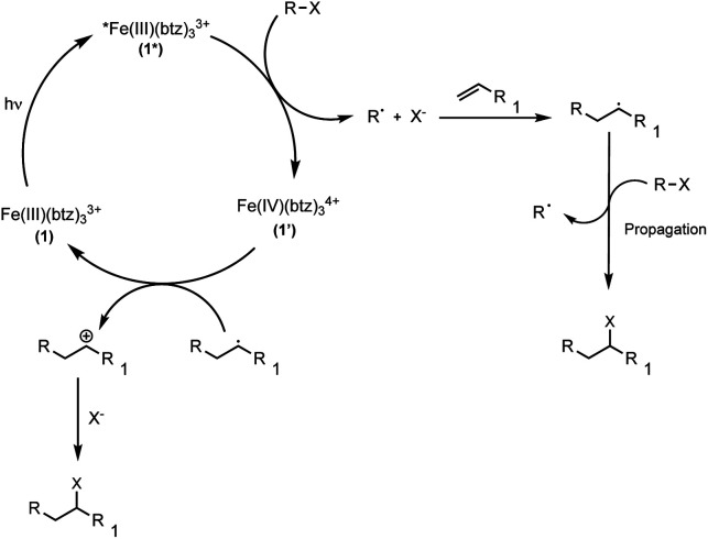 Scheme 5