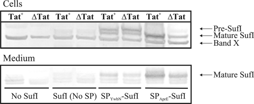 FIG. 4.