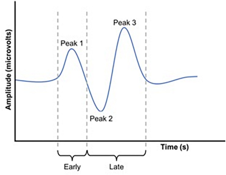 FIGURE 2